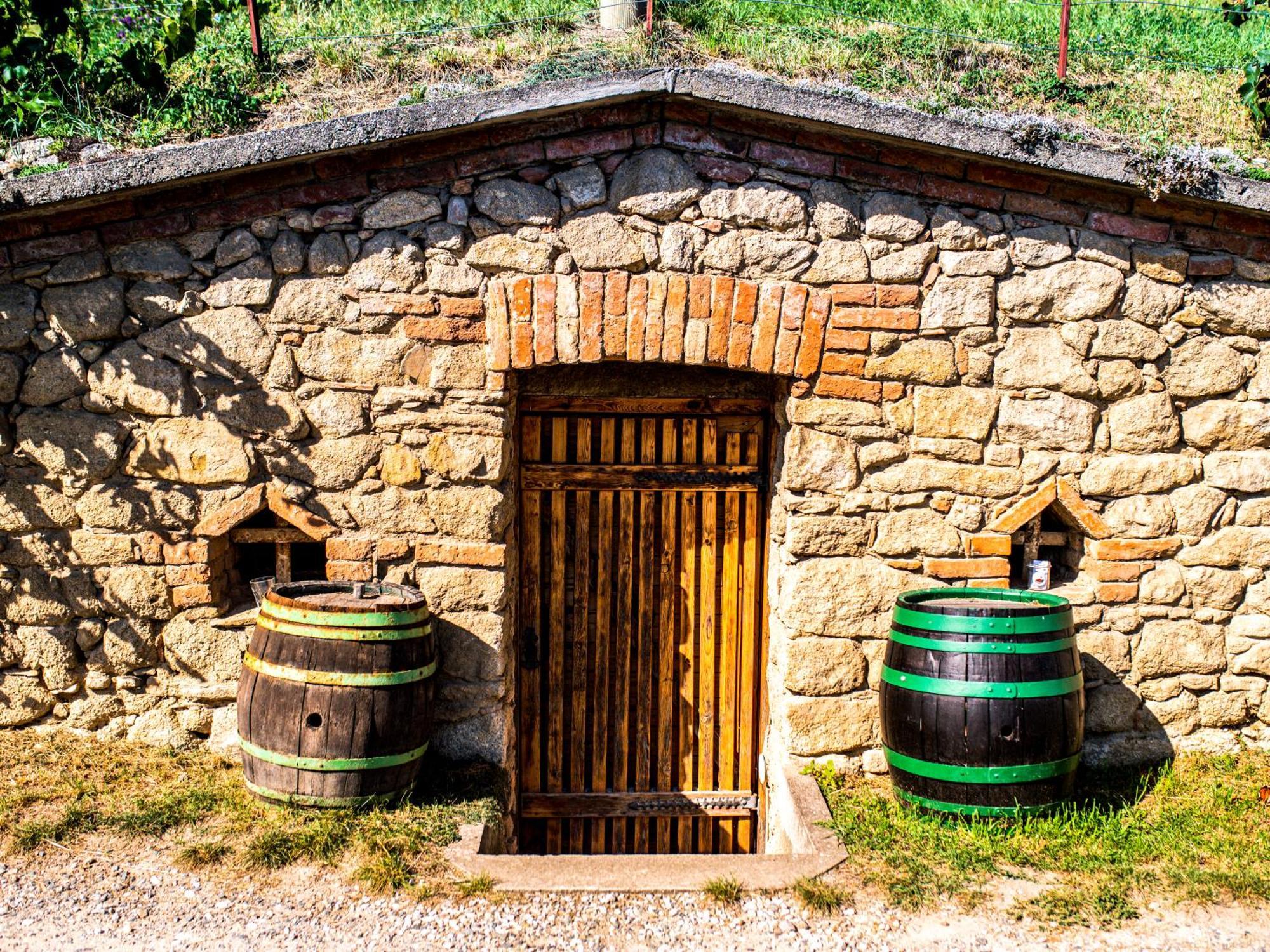 Penzion U Tri Ruzi Vrbice Exterior foto
